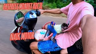 Ekspresi monyet kecil diajak jalan jalan naik motor by Alif Sakha 271 views 4 weeks ago 4 minutes, 45 seconds