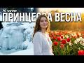 ПРЕМЬЕРА ПЕСНИ Михаил Тё ПРИНЦЕССА ВЕСНА AI Cover Version вар 2 ПРЕМЬЕРА ПЕСНИ Михаил Тё ПРИНЦЕССА ВЕСНА AI Cover Version вар 2