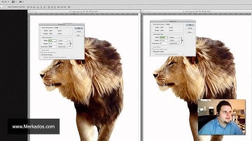 Understand Resolution & Pixel Dimensions - Digital Media