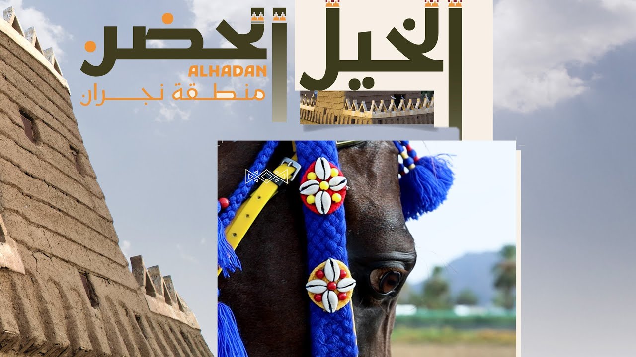 خيل الحضن #نجران | كنوز أمة