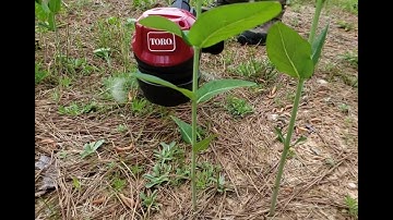 Assembling & Using the Toro 60 Volt Max String Trimmer