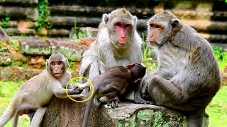 Stop Nurse..jazzy Try Pullin-G Jonnas Leg Breakin G Milk By Jealousy But Mom Sudden Warnn Bitin G