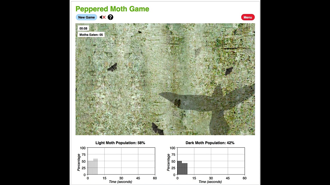 Peppered Moth Simulation