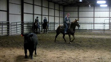 OneQuickCat - working a cow 1 - Valley View Ranch