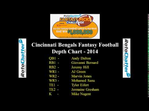 Cincinnati Bengals Depth Chart 2014