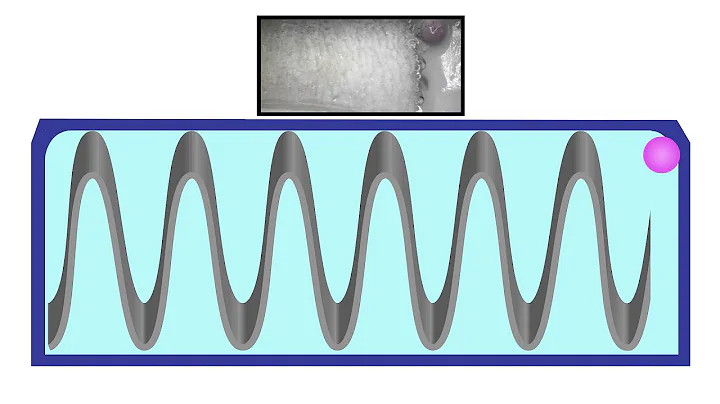 Autonomous Conveyer Gel Driven by Frontal Polymerization - DayDayNews