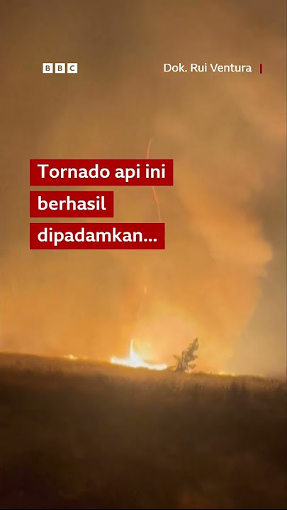 Tornado api muncul di tengah kebakaran hutan di Portugal #shorts