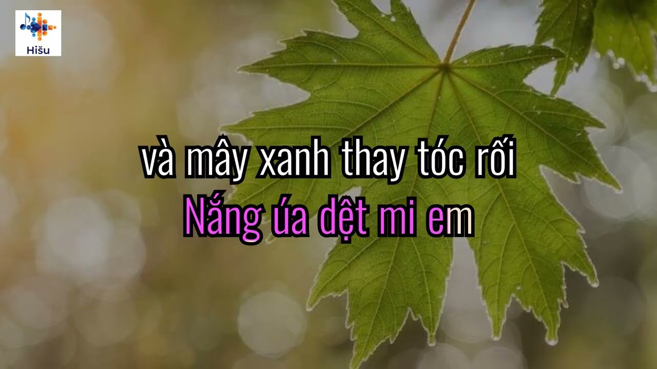 Mùa Thu Cho Em    Ngô Thụy Miên  & KARAOKE