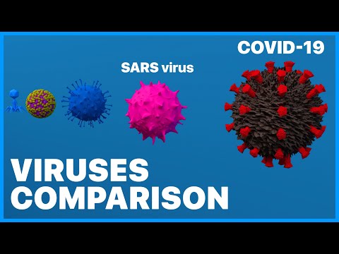 viruses-comparison-•-sars,-(sars-cov-2)-wuhan-coronavirus-•-2020