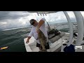 Tampa Bay Fishing and Red Tide Conditions!