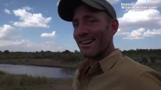 (epic) Safari Live at the Great Migration at Maasai Mara