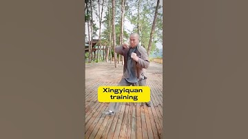 Xingyiquan, the most practical martial art in China #kungfu