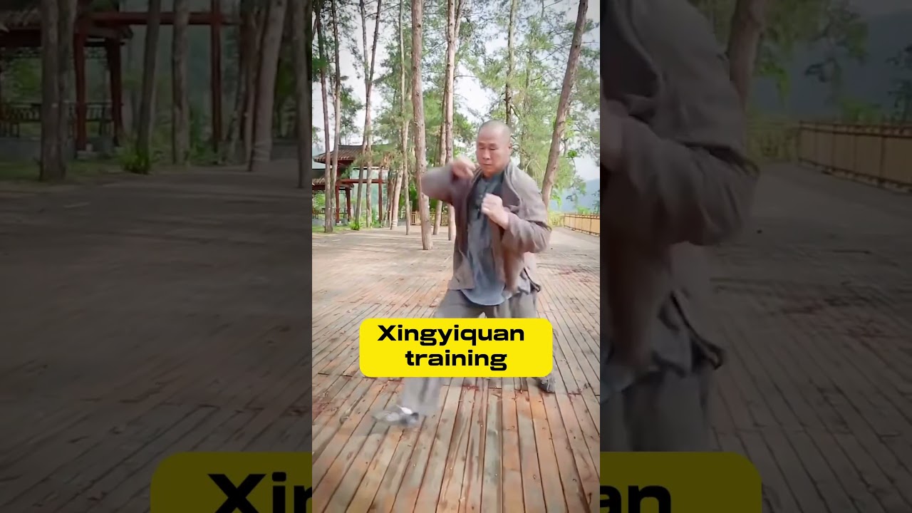 Xingyiquan, the most practical martial art in China 