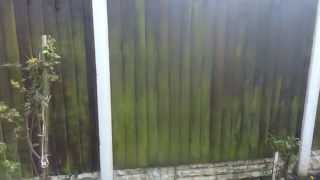 Patio Magic Treatment On Garden Fence