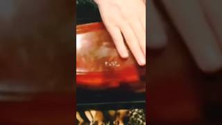 L'art de la cuisine 😋⁉️😋😹#cooking #recipe #shortsfeed #shortyoutube #youtubeshorts #765lt #love #ytb