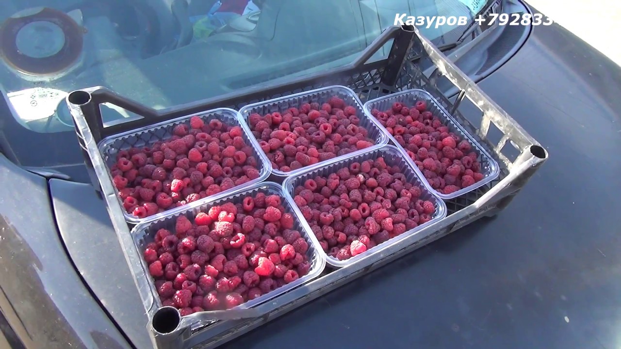 Монтаж тарелки МТС на сельхозрынке Краснодар - YouTube