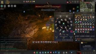 BDO Hedgehog Pet, Special Gathering Procs