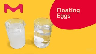 Floating Eggs at Home STEM Experiment