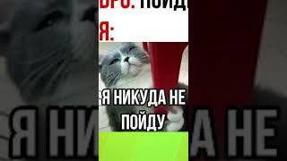 МЕМЫ ЕСТЬ МЕМЫ  #приколы #юмор #лютыеприколы #школа #котики #мемы #троллинг #shorts