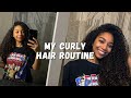 Curly Hair Routine + my favorite hair products