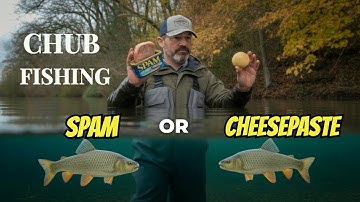 Vissen op kopvoorn - HET BESTE aas voor kopvoorn - Spam of kaaspasta?