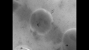 Continuous Tilt Tomography