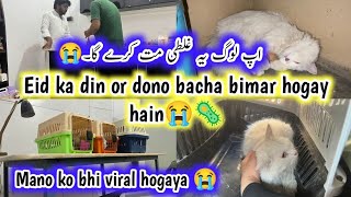 Casper or Mano dono ko Virus Infection ho gaya  || Cat viral infection symptoms & treatment