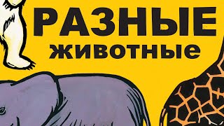 Узнай животное. Книжка малышка. Читает Папа для Богатыря.