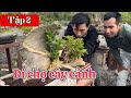 ( Tập 2 ) cùng Phiêu Du đi chợ cây cảnh | seri : 1 vòng Hà Nội cùng Bonsai Ông Trẻ