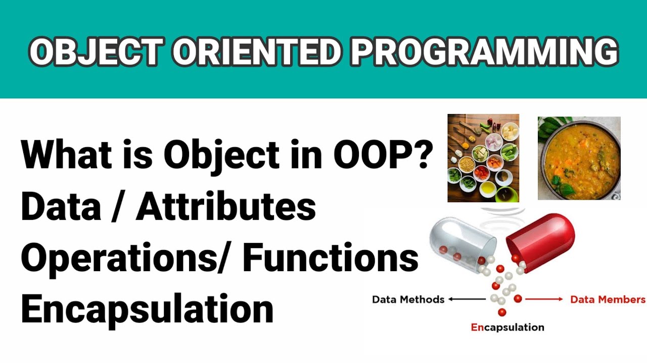 OOP - Object Oriented Programming |What is Object, Data,Functions ...