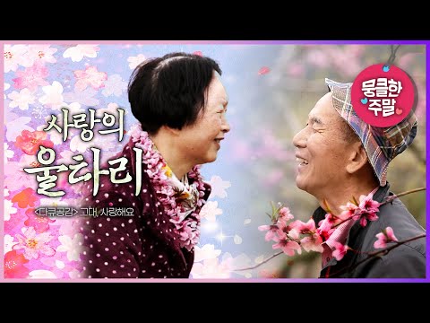 [뭉클한 주말🥰 #106] 가족이 함께 지은 &amp;#39;사랑의 <strong>울타리</strong>&amp;#39; | 여보, 사랑해요 [다큐공감 190602 KBS 방송]