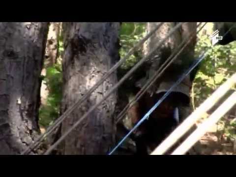 ქართული ჯარი - 43 ე ბატალიონის წვრთნები