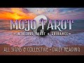 Who is coming towards you all signs  collective  daily reading timestamped