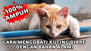 Cara Mengobati Kucing Mencretdiare