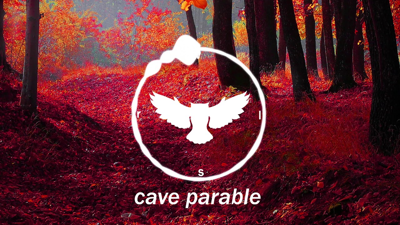 RVLS - cave parable