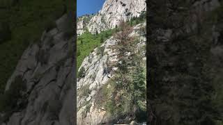 IMG 6805 HEVC