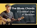 7th Chord Grips & Variations For Beginners Guitar Players