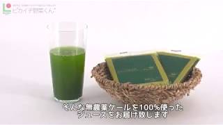 茨城県産無農薬ケール100%使用の冷凍青汁
