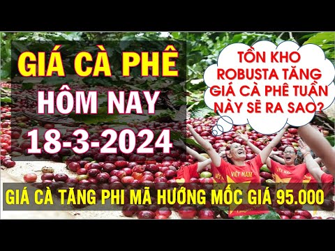 ผลสลากกินแบ่งรัฐบาล วันที่ 1 พย. 2567