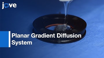 Planar Gradient Diffusion System To Investigate Chemotaxis In 3D Collagen Matrix l Protocol Previe