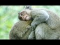Orphan Jonna really need warm from sister Jazzy when she know mom Jane`s sadness information.