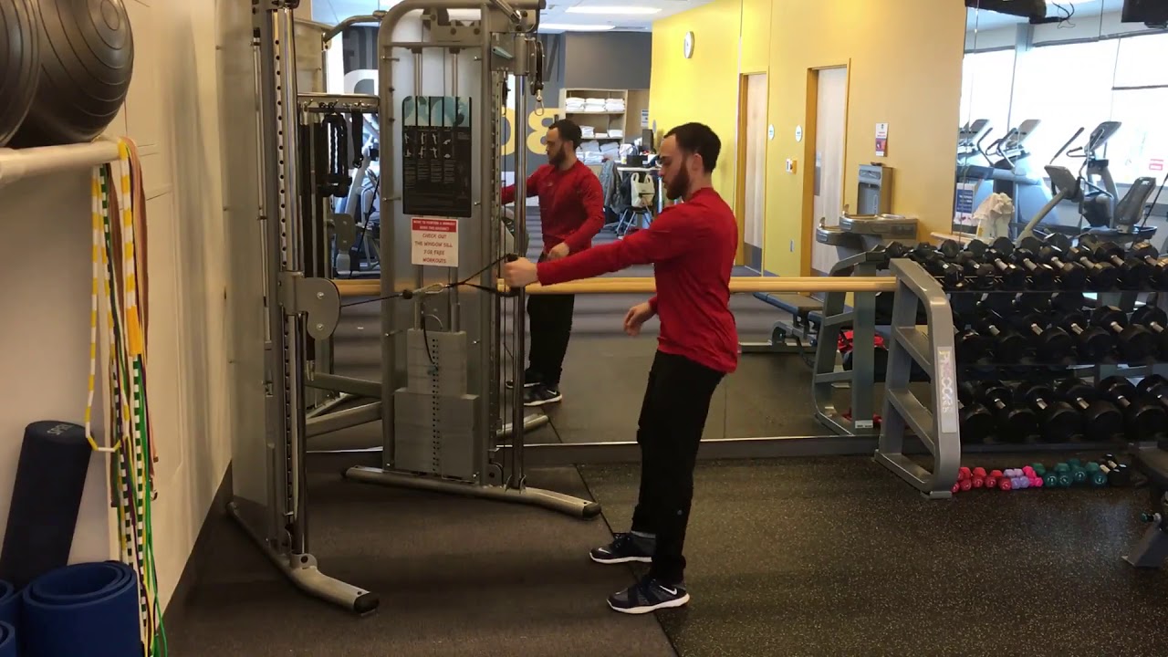 Cable Squat to 1 Arm Row YouTube