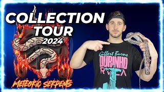 REPTILE COLLECTION TOUR 2024 - BALL PYTHONS & COLUBRIDS! Net Worth