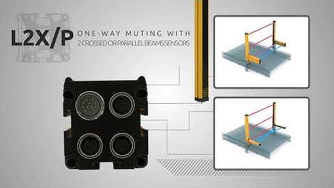 Safegate - Programmable light curtain for access control with integrated muting functions - ReeR