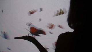 Butterfly Screen