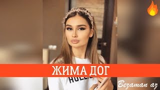 Макка Алиева Жима Дог😍💕