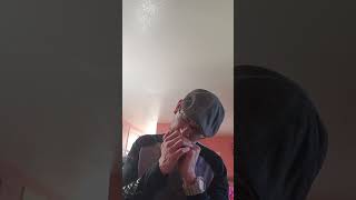 Adele Hello Harmonica Cover