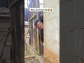 #shortvideo #funny #comedy #seharianlucu #lucu