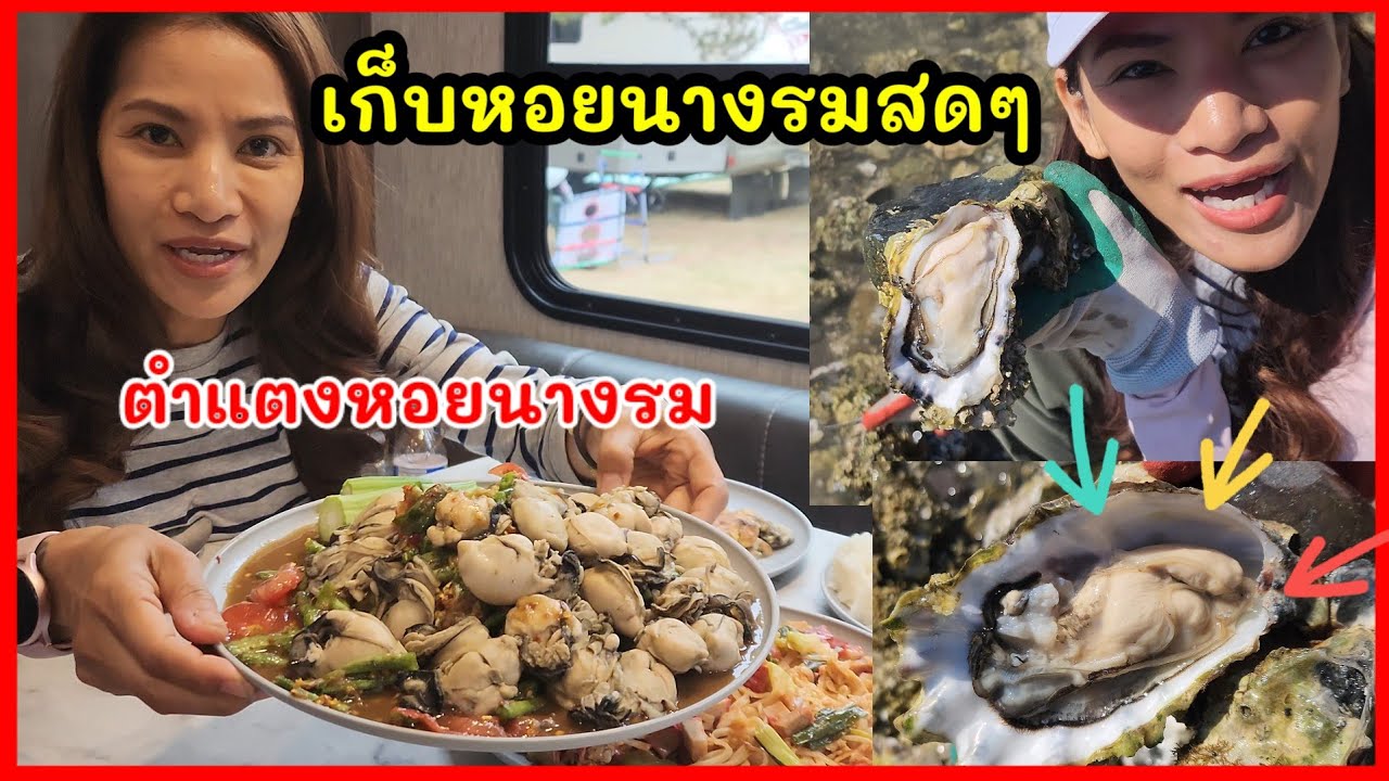 ขับรถบ้านคันใหญ่ ไปเก็บหอยนางรมสดๆ / ตำแตงใส่หอยนางรม แซบมากๆ 