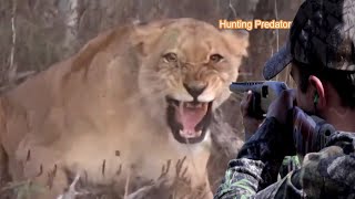 Zero distance between a lion and a hunter Part 7 screenshot 1